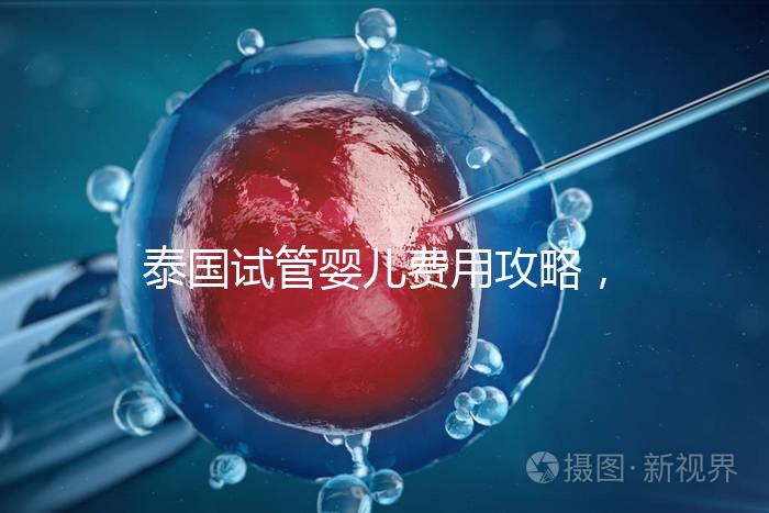 泰國試管嬰兒費用攻略，2025年詳細預算指南