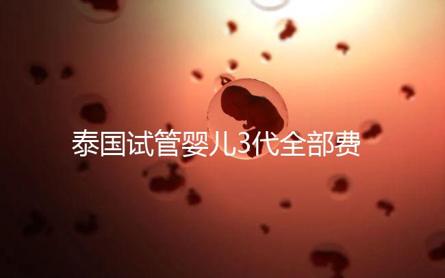 泰國試管嬰兒3代全部費用大概是多少？