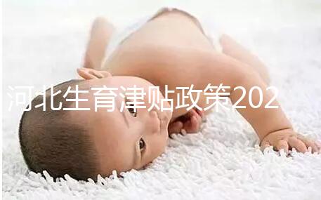 河北生育津貼政策2024，想造石家莊怎么算、多久到賬戳這