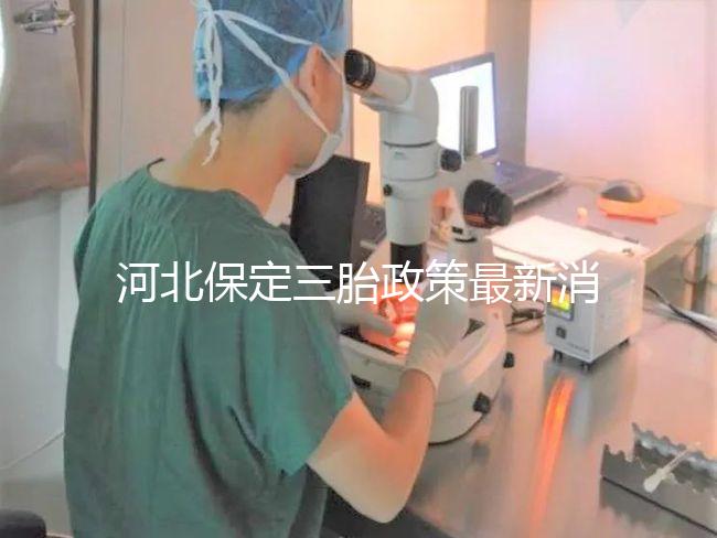 河北保定三胎政策最新消息2024，不造補貼怎么申請看過來