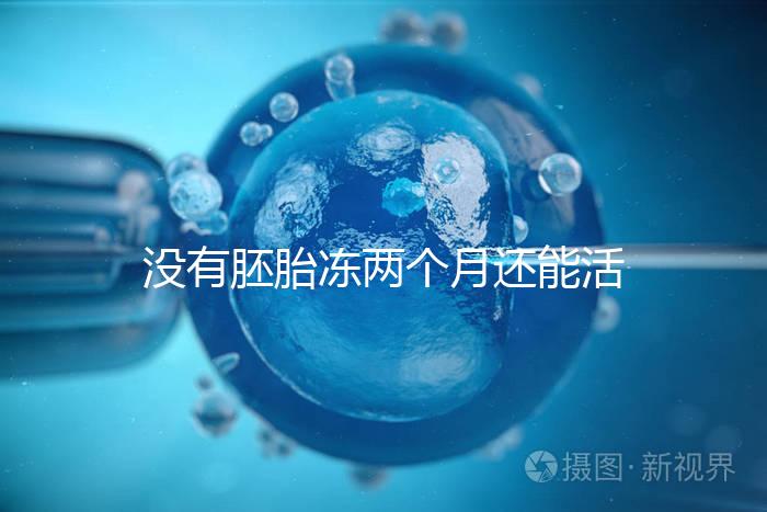 沒有胚胎凍兩個月還能活著嗎？60s會告訴你怎么樣？