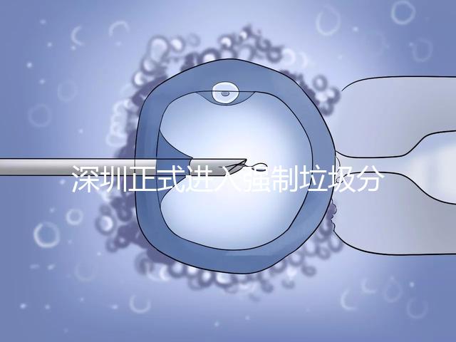 深圳正式進(jìn)入強(qiáng)制垃圾分類時代,不分類最高被罰50萬!