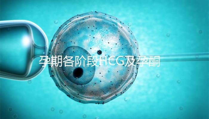 孕期各階段HCG及孕酮對照表,孕初期就要評估懷孕指標