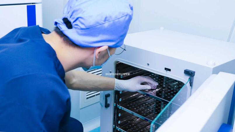 孕婦夢見殺蛇預示寶寶健康？相關胎夢解讀