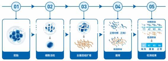 安徽地中海貧血多不多戳，合肥比例低也要早發(fā)現(xiàn)早治療