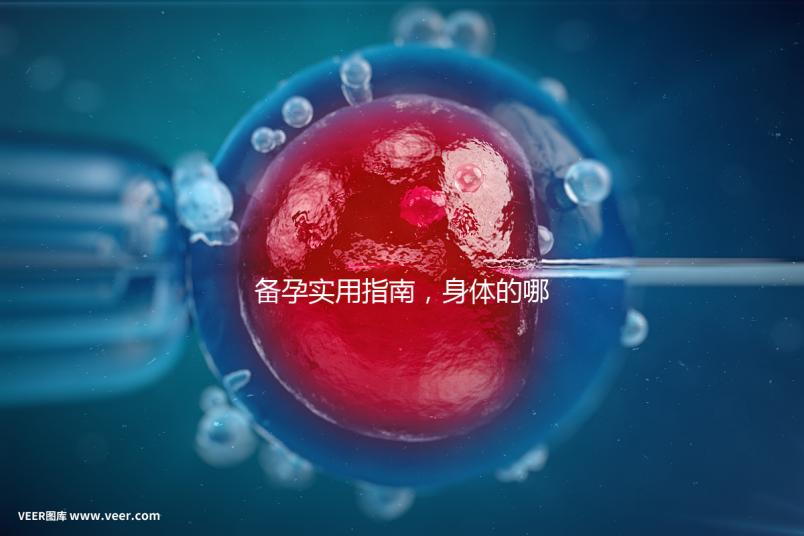 備孕實(shí)用指南，身體的哪些感覺(jué)提示正在排卵？