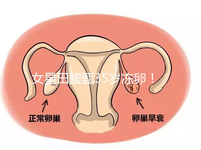 女星田馥甄35歲凍卵！揭秘你不知道的明星凍卵過(guò)程