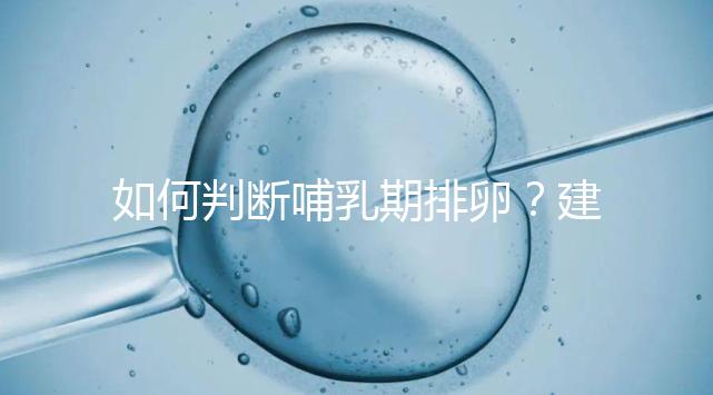 如何判斷哺乳期排卵？建議試試這四招，快速掌握排卵期
