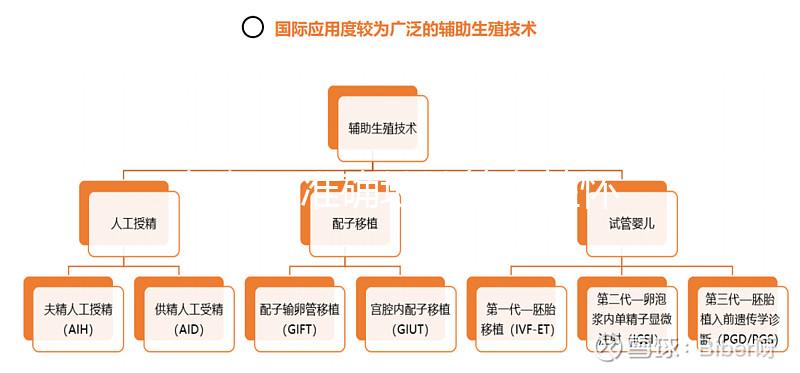 如何更準確地計算女性懷孕時間？