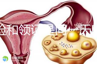 婚檢和領證是同一天嗎?聽聽過來人的建議