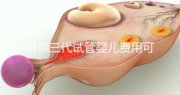 常德三代試管嬰兒費用可以報銷嗎？內附試管費用明細