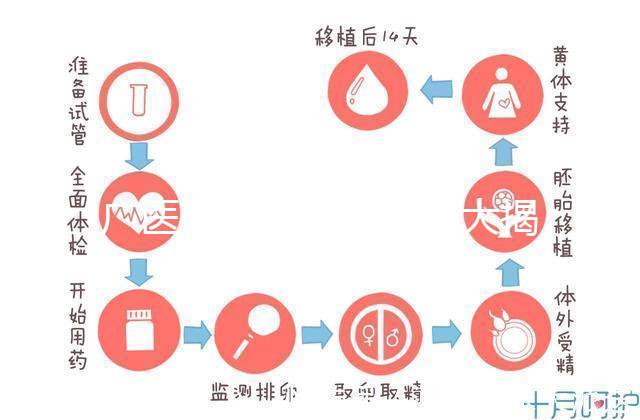 廣醫三院取精多少錢大揭秘,一萬都包括什么速看