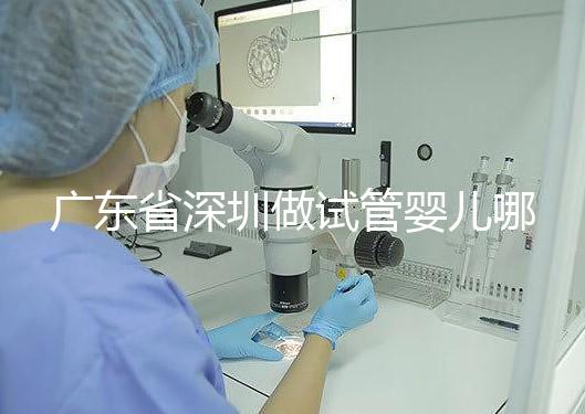廣東省深圳做試管嬰兒哪里好?盤(pán)點(diǎn)成功率最高的醫(yī)院排名