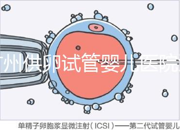 廣州供卵試管嬰兒醫院匯總，真實案例告訴你廣東哪家最好