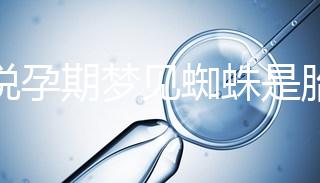 都說孕期夢見蜘蛛是胎夢,咬人、爬身上意思都不同快收藏