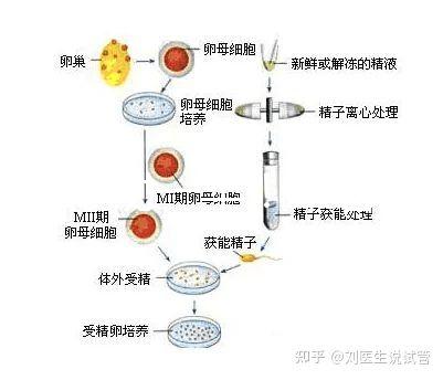 選對成功一半！來看看海南哪家醫院能做三代試管嬰兒