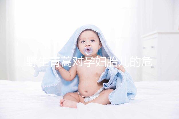 野生青蒿對孕婦胎兒的危害多，能否泡腳、洗澡看這里