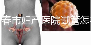 長(zhǎng)春市婦產(chǎn)醫(yī)院試管怎樣問(wèn)題解答，助孕成功率、費(fèi)用可作參考
