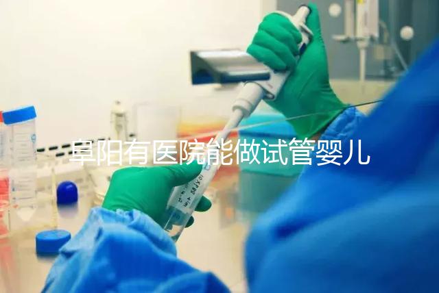 阜陽有醫(yī)院能做試管嬰兒嗎，做一次大概要花多少錢？