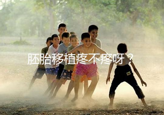 胚胎移植疼不疼呀?