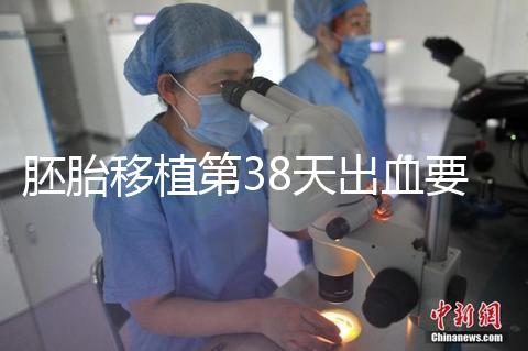 胚胎移植第38天出血要重視,約30%的孕婦會(huì)有流產(chǎn)風(fēng)險(xiǎn)