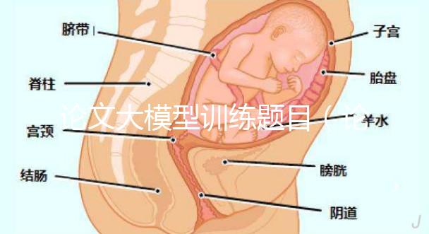 論文大模型訓(xùn)練題目(論文大模型訓(xùn)練題目怎么寫)