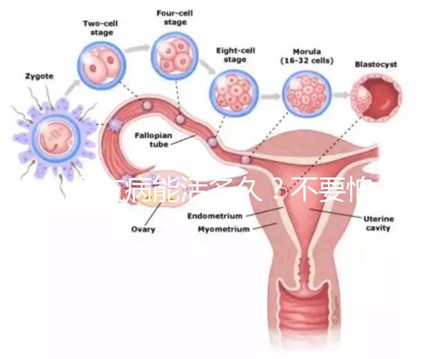 血友病能活多久？不要怕!注意這些同常人無異
