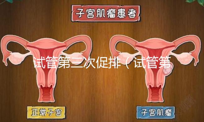試管第三次促排(試管第三次促排多少錢(qián))