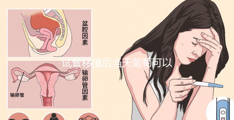 試管移植后當天葡萄可以吃嗎？真不會影響著床隨便吃