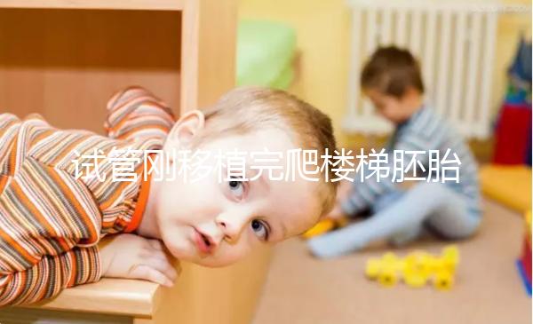 試管剛移植完爬樓梯胚胎會掉出來是謠言！這3大影響了解下