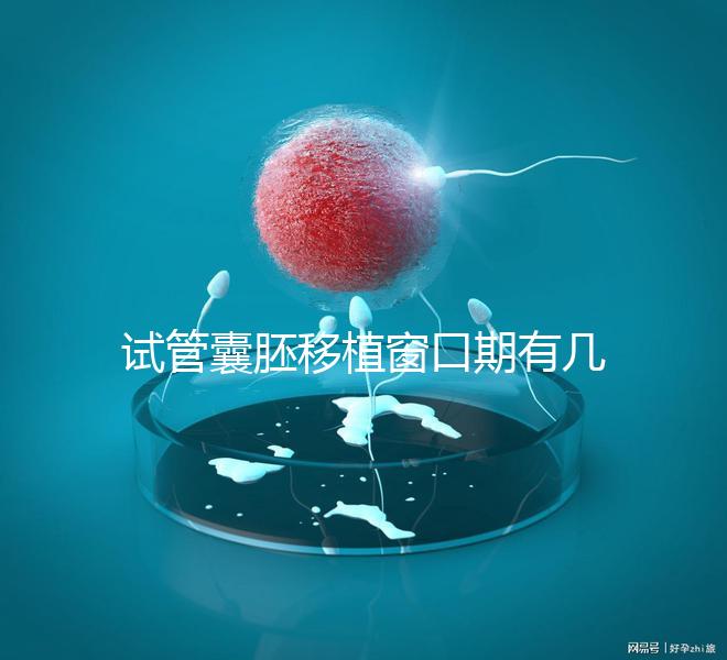 試管囊胚移植窗口期有幾天看這，弄明白什么時候更易著床