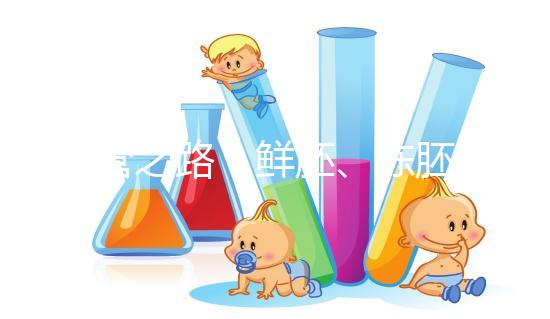 試管之路：鮮胚、凍胚、桑椹胚、囊胚，選擇哪種成功率更高？