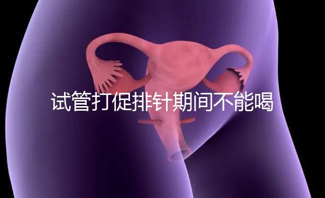 試管打促排針期間不能喝酵素減肥？把控好時(shí)間就行