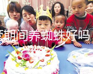 試管期間養蜘蛛好嗎？人們告訴你，這些影響應該早知道