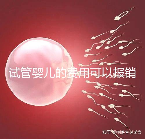 試管嬰兒的費用可以報銷嗎?