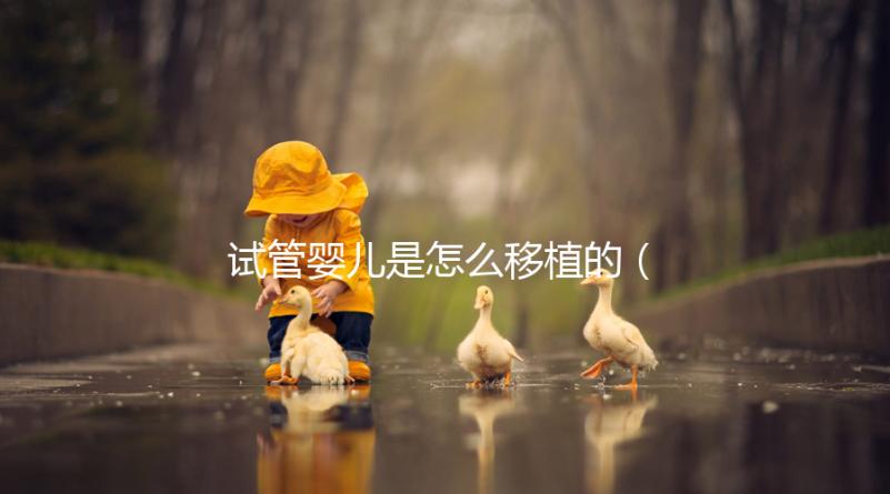 試管嬰兒是怎么移植的（試管嬰兒是怎么移植的？）