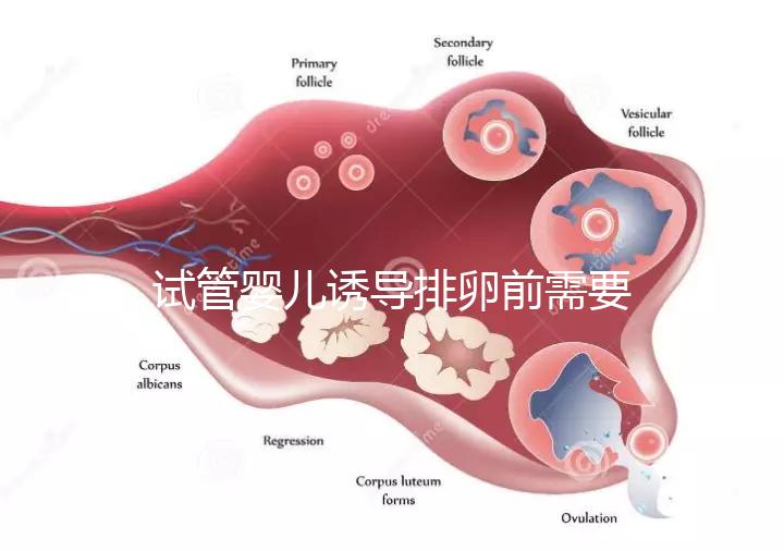 試管嬰兒誘導排卵前需要做哪些準備工作?