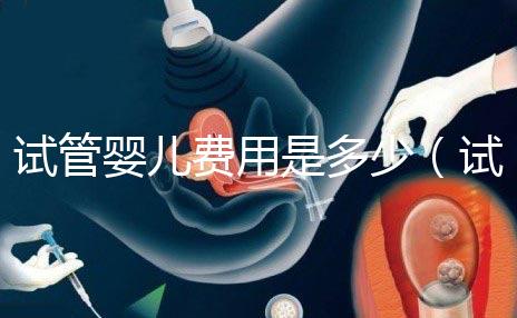 試管嬰兒費(fèi)用是多少(試管嬰兒費(fèi)用是多少錢)