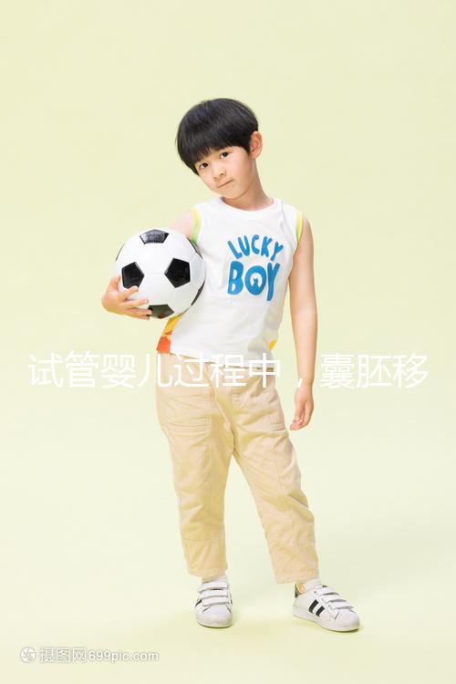 試管嬰兒過(guò)程中，囊胚移植和鮮胚移植哪個(gè)成功率更高？