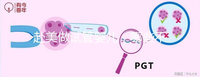 赴美做試管嬰兒，哪些不孕類問題更容易成功？