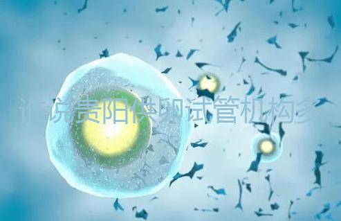 誰(shuí)說(shuō)貴陽(yáng)供卵試管機(jī)構(gòu)多給錢(qián)就不用排隊(duì)，醫(yī)生：不亂收費(fèi)