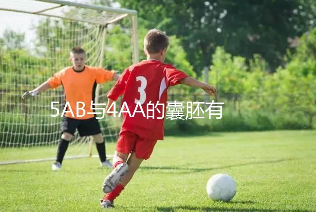 5AB與4AA的囊胚有什么區(qū)別？誰更適合移植？