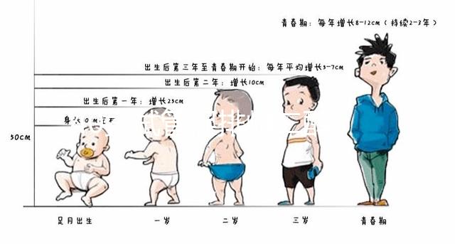 40歲試管促排雌二醇385是否1-2個卵的答案揭曉，想造戳