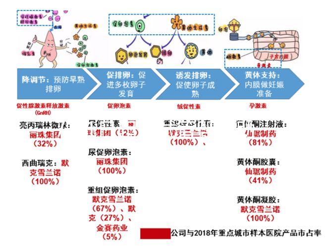 7月1日起，試管嬰兒助孕可醫(yī)保報(bào)銷啦！