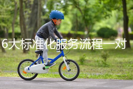 6大標準化服務流程一對一貼心服務，全程中文陪同