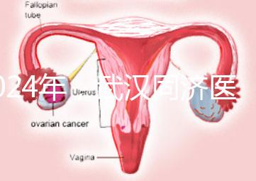 2024年，武漢同濟醫院不孕癥醫生排名公布，選擇專家迅速登記