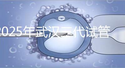 2025年武漢三代試管助孕比較新價格：8萬至15萬，費用明細公開！