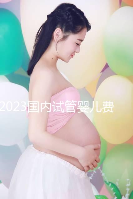 2023國內(nèi)試管嬰兒費(fèi)用明細(xì)表一覽,4大項目不同花費(fèi)get