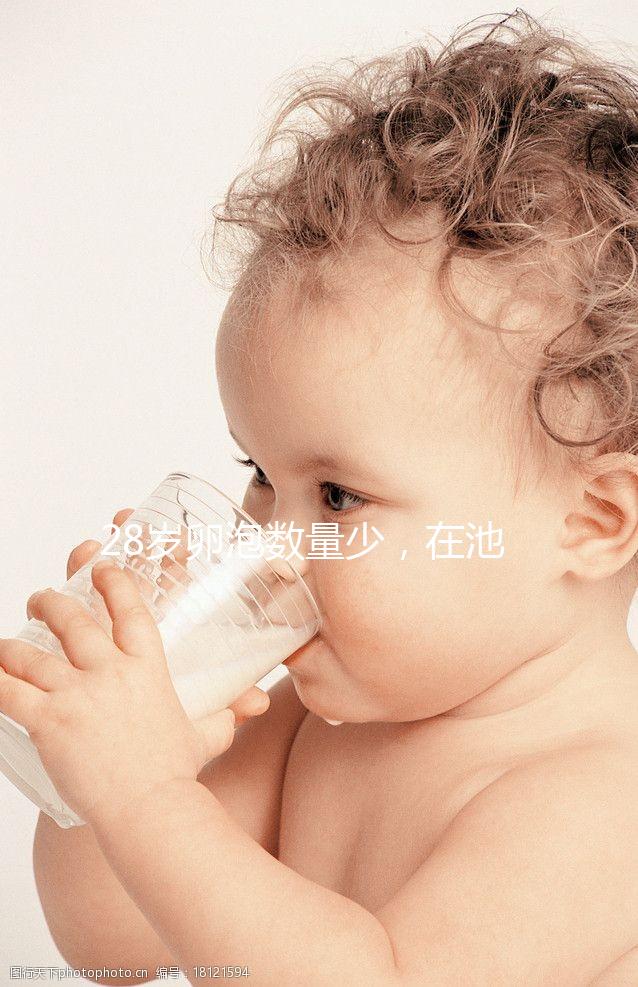 28歲卵泡數(shù)量少，在池州能不能做試管嬰兒？